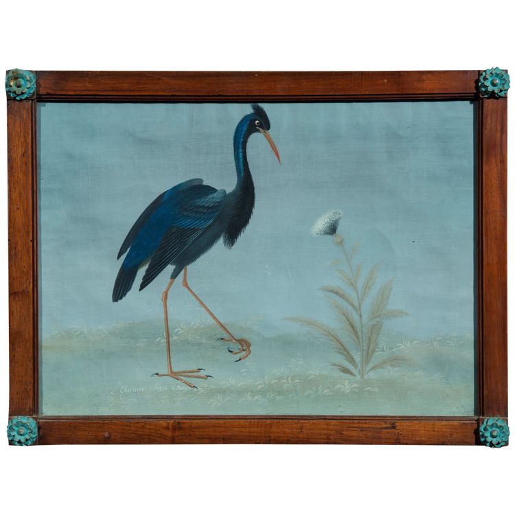Lombard painter of the late 18th/19th century (Raineri style) "American Blue Heron"