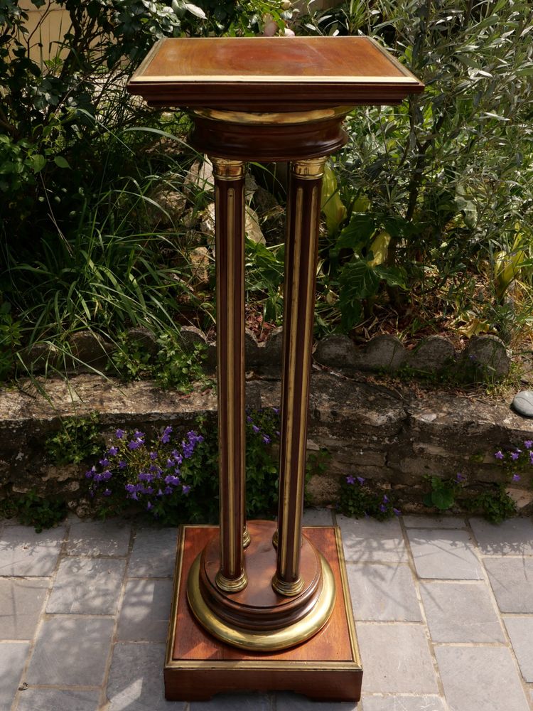 Revolving plant stand in mahogany, mahogany veneer and brass, Napoleon III period