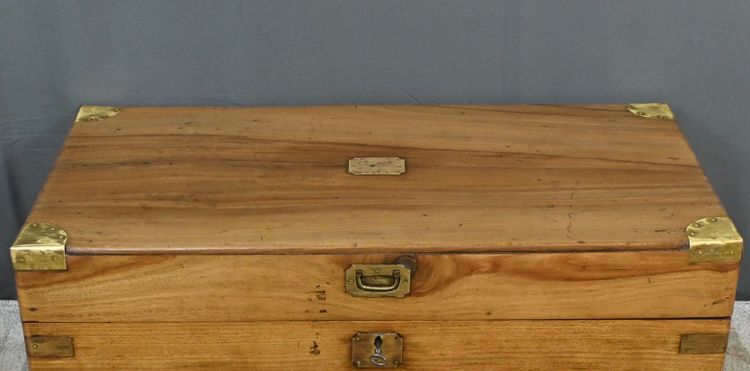 Tronco di canfora, India - Fine XIX secolo