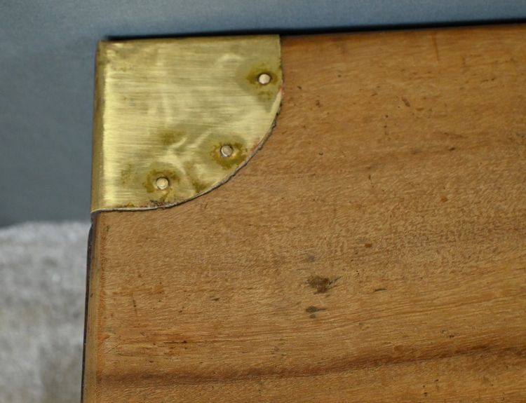 Tronco di canfora, India - Fine XIX secolo