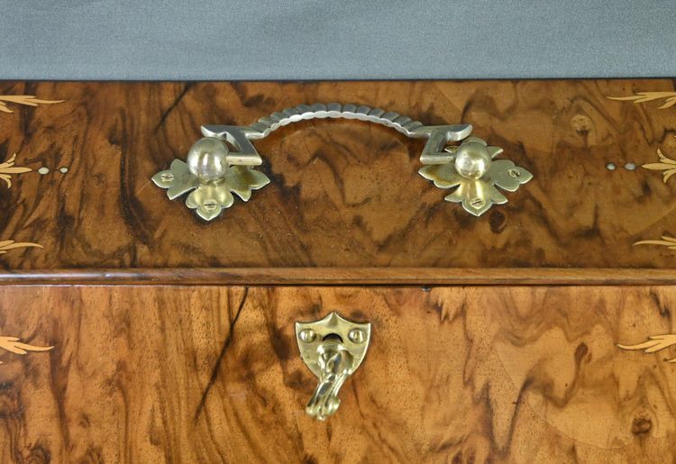 Walnut burl letter box - Early 20th century