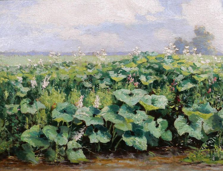 Gérard VAN LUPPEN (att. a) 1834-1891 Paesaggio con piante a Modave (Belgio), dipinto, 1883