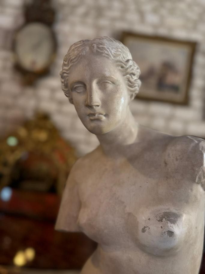 SCULTURA DELLA VENERE DI MILO