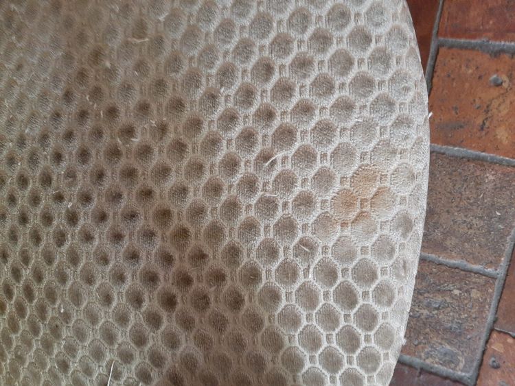 Coppia di poltrone in mogano con croce - Periodo Restauro - XIX secolo