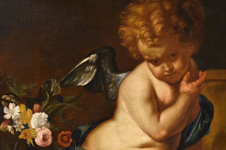 Vanitas (Allegoria della Giovinezza), Erasmus Quellinus II (Anversa 1607 - 1672)