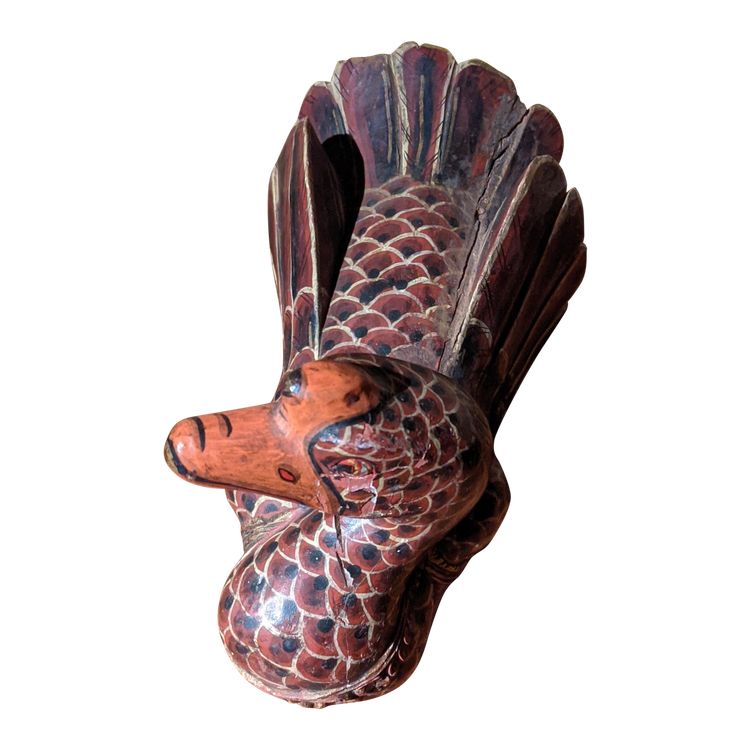 Un'anatra arrosto