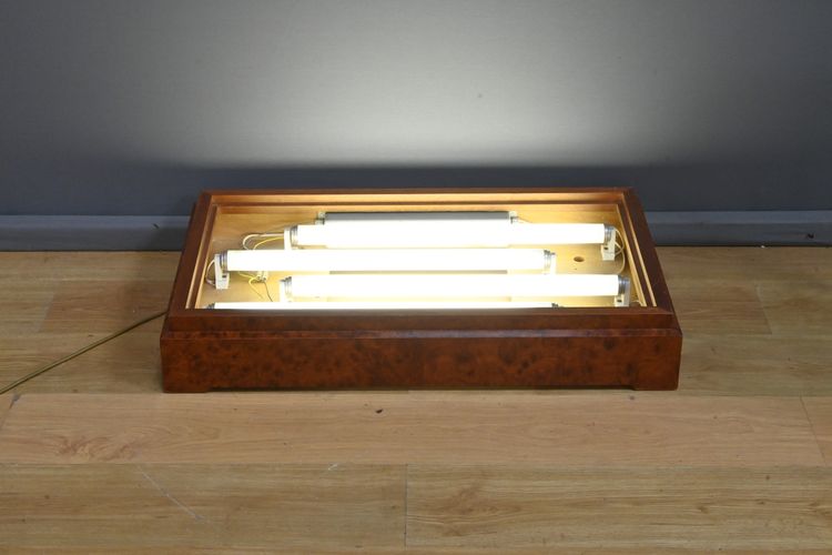 Coppia di vetrine in ottone e olmo – 1950