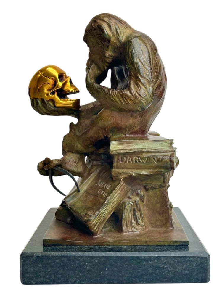 Wolfgang Hugo Rheinhold scultura in bronzo Scimmia con teschio