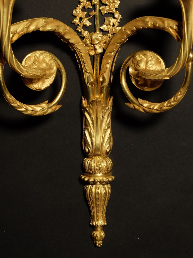Coppia di applique in bronzo dorato in stile Luigi XVI 