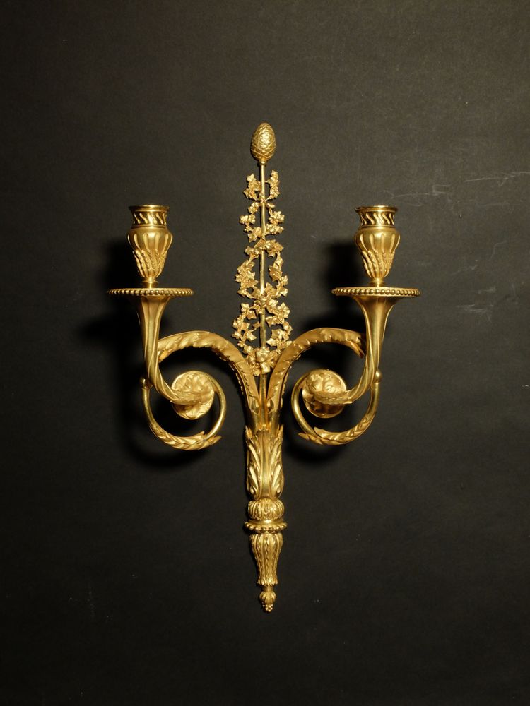 Coppia di applique in bronzo dorato in stile Luigi XVI 