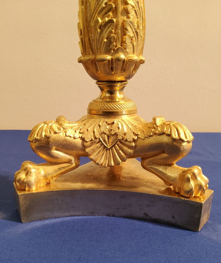Coppia di candelabri del XIX secolo in bronzo cesellato e dorato, decorati con zampe di leone.