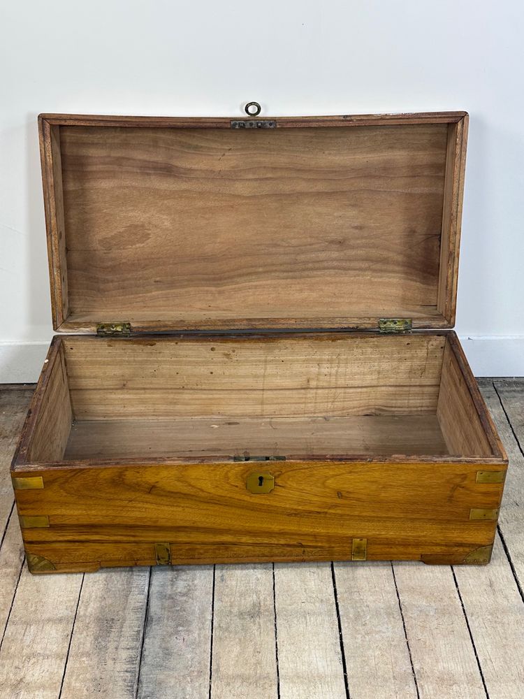 Baule coloniale in legno di canfora marina del XIX secolo