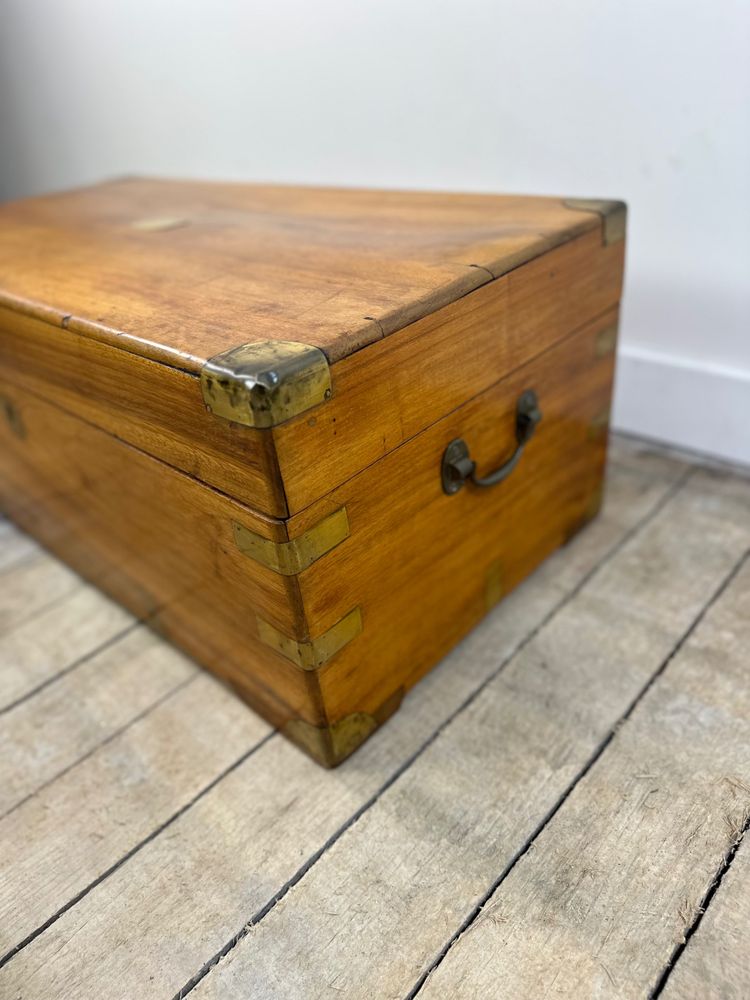 Baule coloniale in legno di canfora marina del XIX secolo