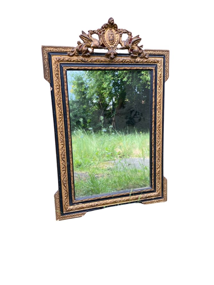 Miroir Napoléon III en Bois Doré, XIXème Siècle - 65 x 100 x 6 cm