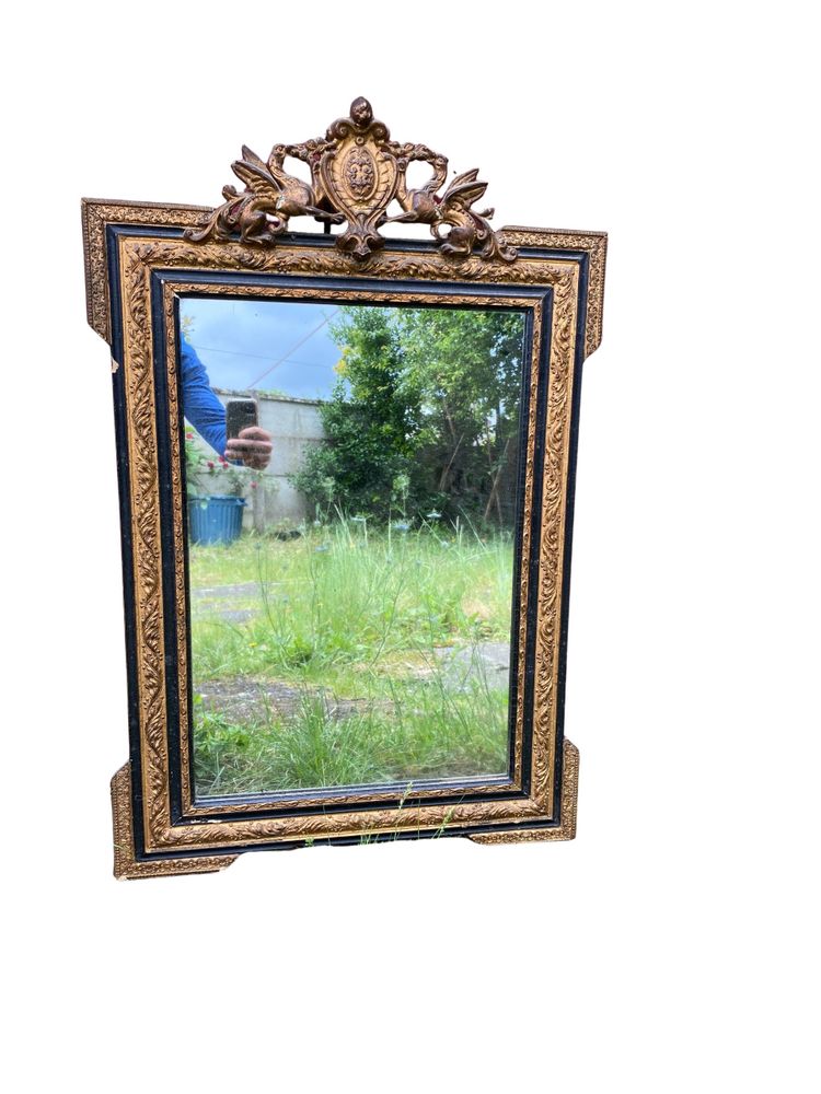 Miroir Napoléon III en Bois Doré, XIXème Siècle - 65 x 100 x 6 cm