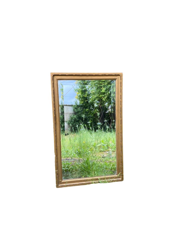 19th Century Beveled Mirror in Gilded Wood, Louis XVI Style – 45 x 72 cm