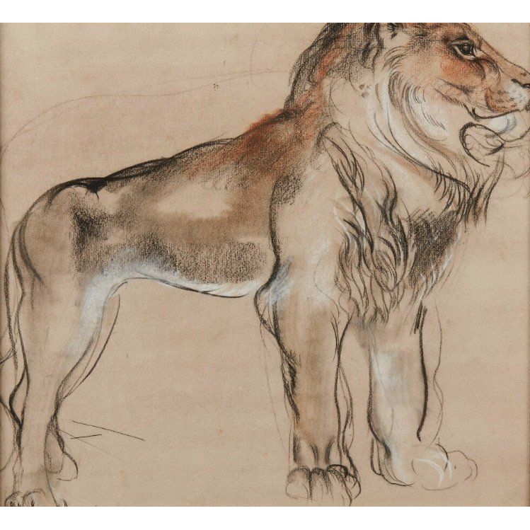 Drawing by Camille ROCHE