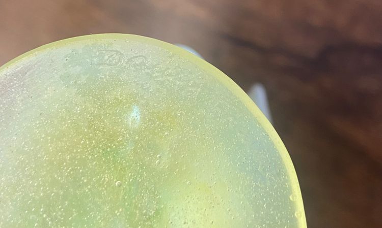 Daum Mimosas