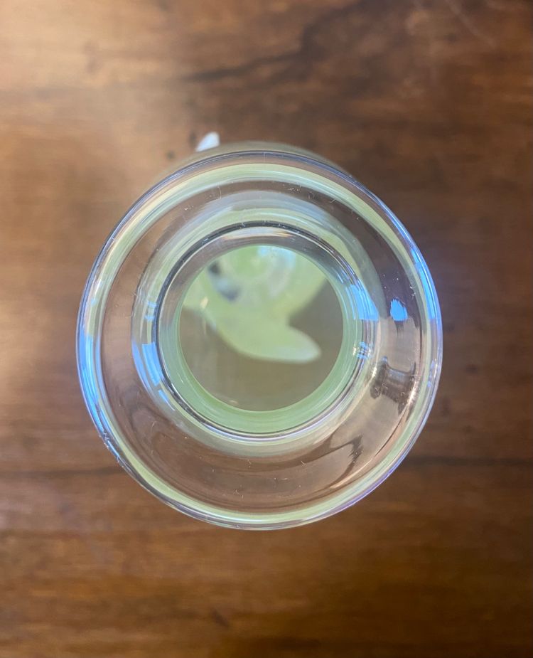 Daum Mimosas