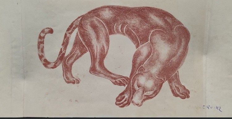 Feline by Camille ROCHE