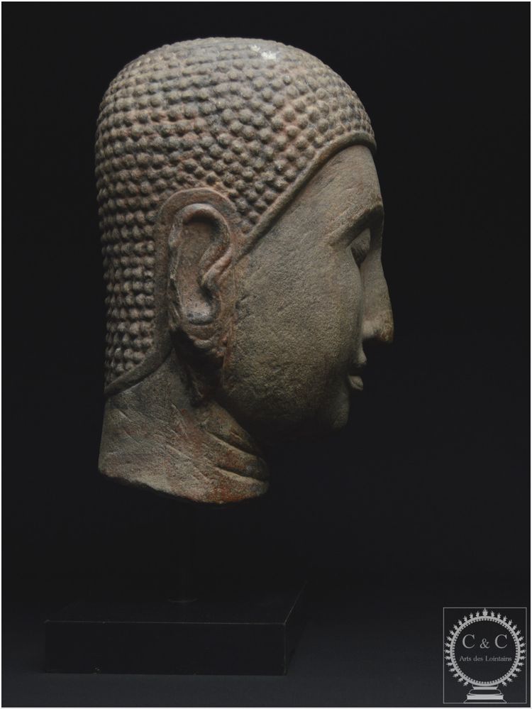 Ex Regno del Siam, scuola di Ayutthaya, XV-XVI secolo, Grande testa di Buddha in pietra