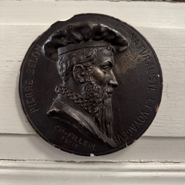 Tondo medallion by Charles Filleul Pierre Belon naturalist 20th century