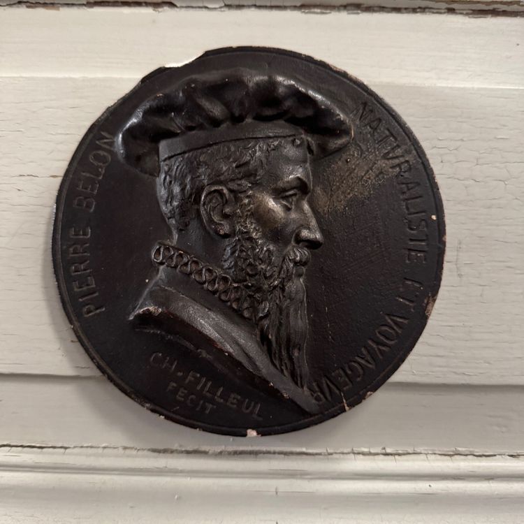 Tondo medallion by Charles Filleul Pierre Belon naturalist 20th century