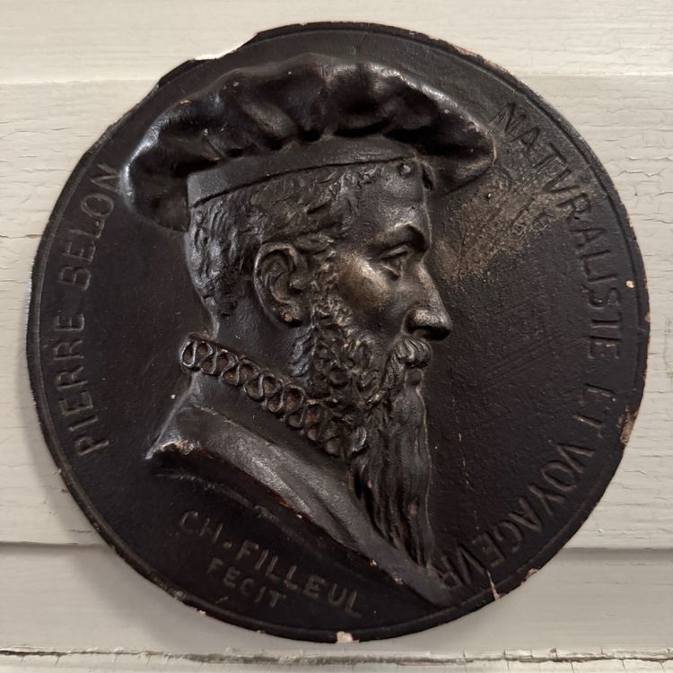 Tondo medallion by Charles Filleul Pierre Belon naturalist 20th century