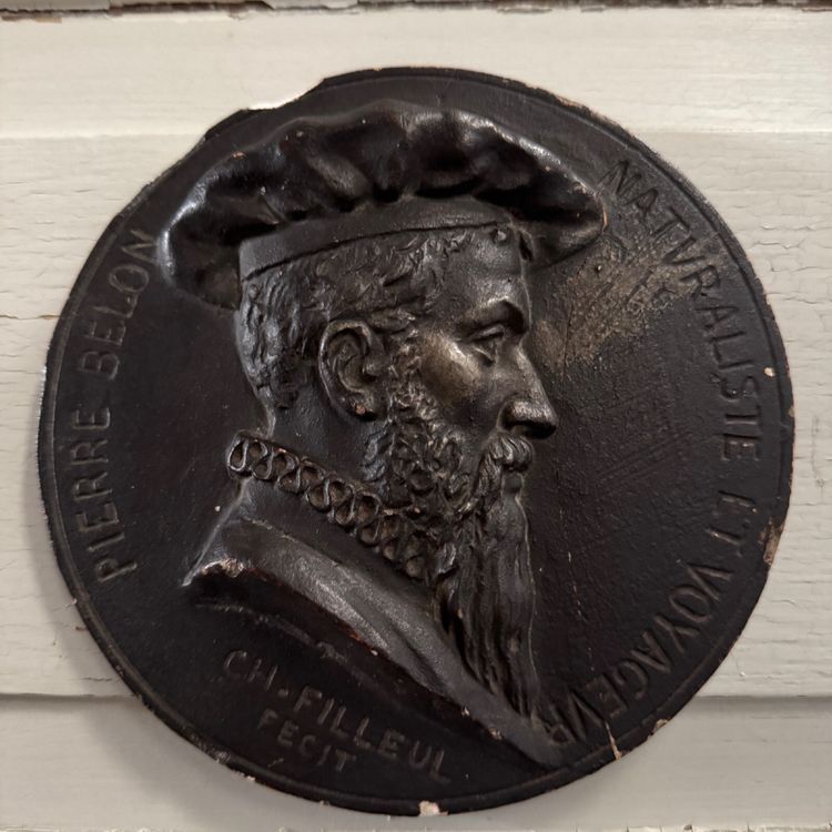 Tondo medallion by Charles Filleul Pierre Belon naturalist 20th century