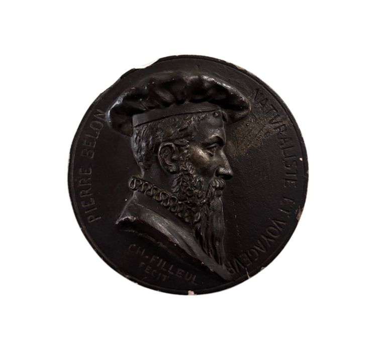 Tondo medallion by Charles Filleul Pierre Belon naturalist 20th century