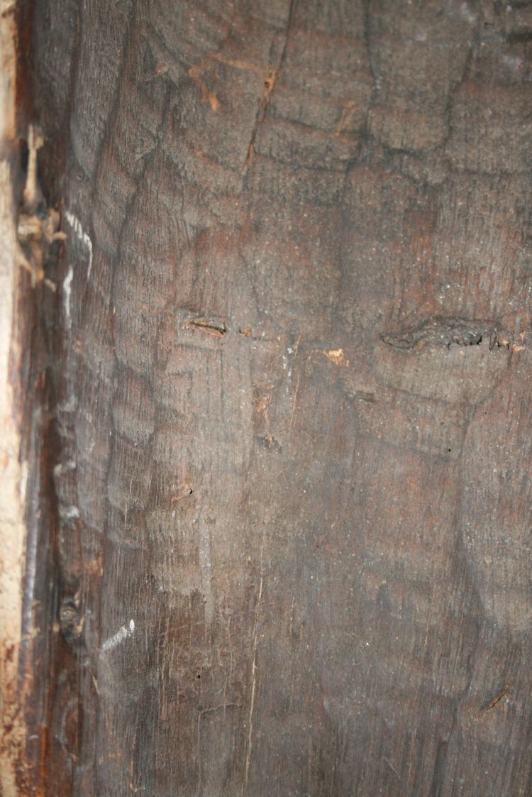 Masque Fang, Gabon.