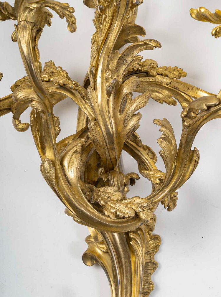 Importante coppia di appliques a cinque luci in stile Luigi XV, in bronzo cesellato e dorato, 1880-1 ca.