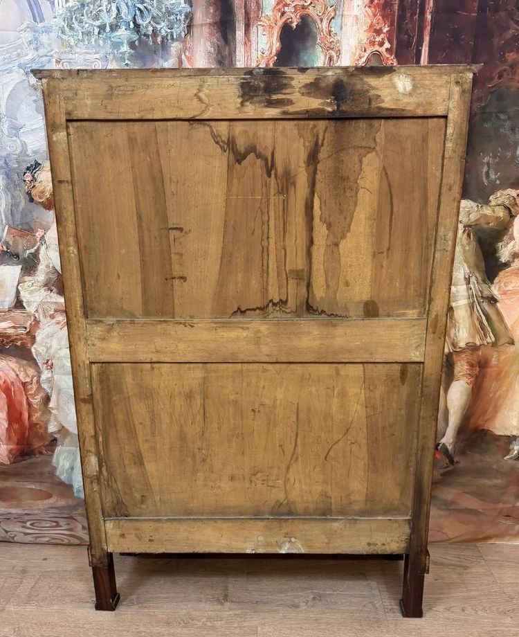 Directoire Period Parisian Mahogany Bookcase