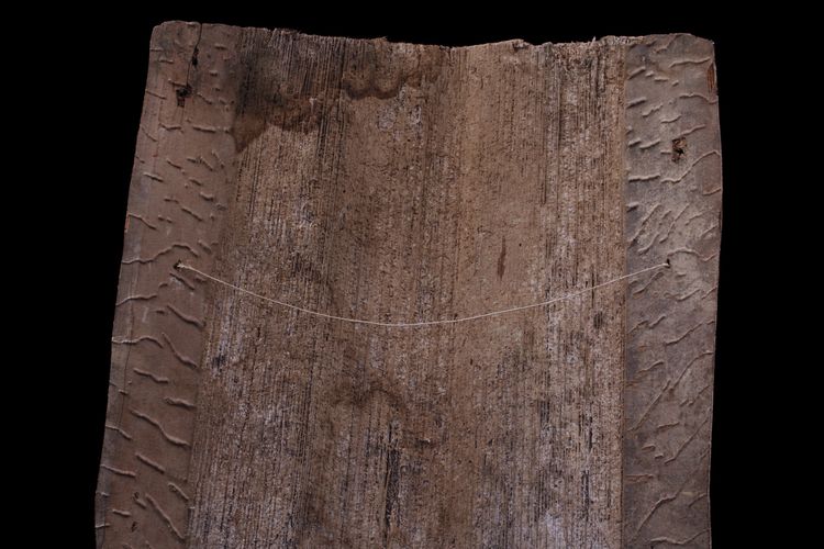 Bemalte Rinde, Stammeskunst, Ozeanische Kunst, Ozeanien, Papua-Neuguinea, 105 x 43 cm