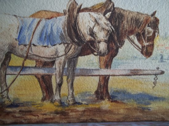 Cavalli da tiro.