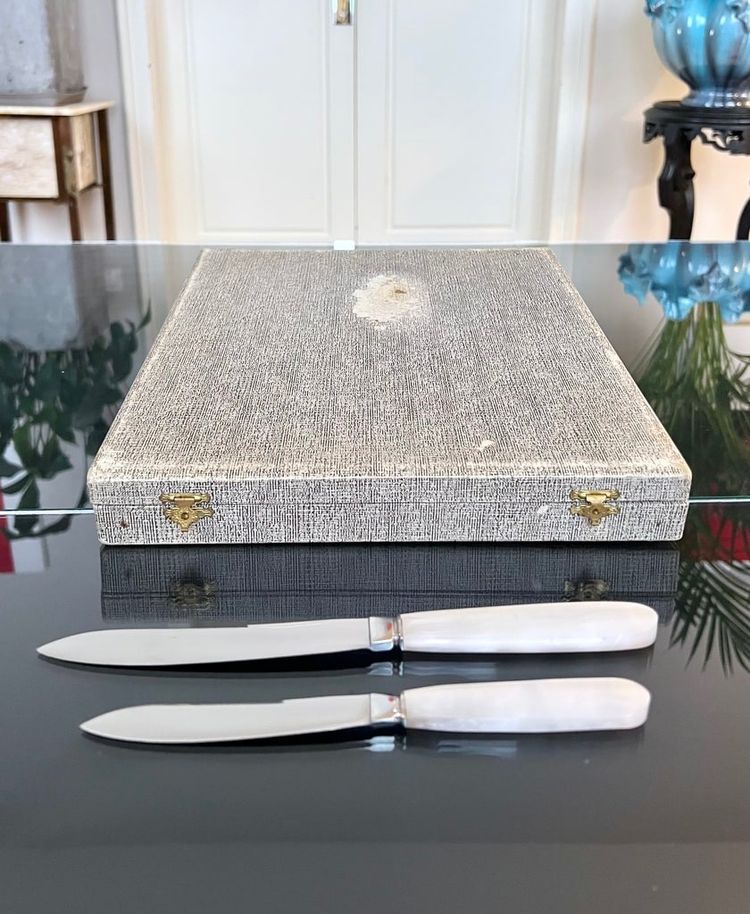 12 Vintage table knives and 12 dessert knives - Mother-of-pearl-effect handles and stainless steel blades