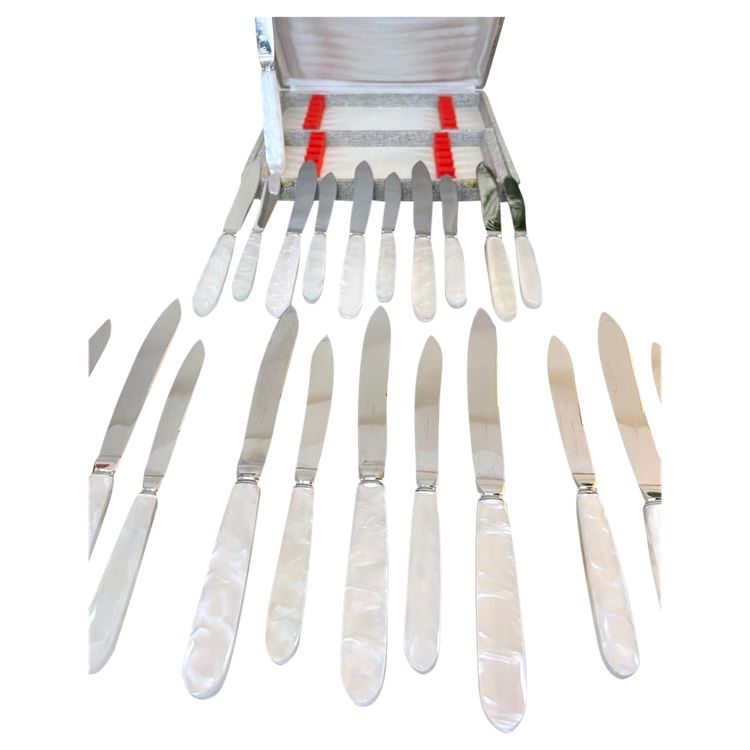 12 Vintage table knives and 12 dessert knives - Mother-of-pearl-effect handles and stainless steel blades
