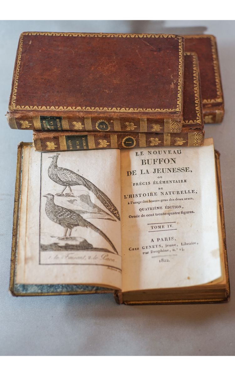 Le BUFFON de la jeunesse, Précis élémentaire d’ HISTOIRE NATURELLE 4 vol. 1822