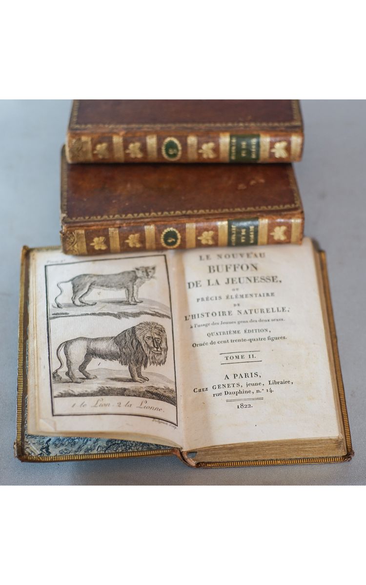 Le BUFFON de la jeunesse, Précis élémentaire d’ HISTOIRE NATURELLE 4 vol. 1822
