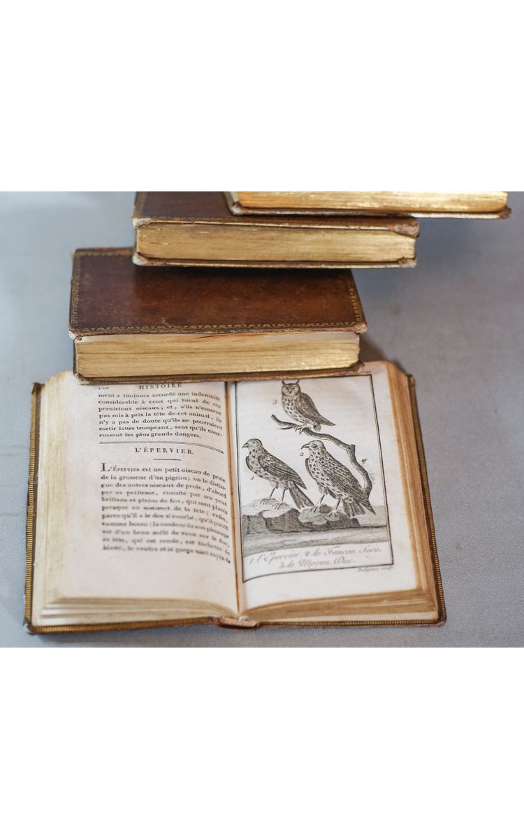 Le BUFFON de la jeunesse, Précis élémentaire d’ HISTOIRE NATURELLE 4 vol. 1822