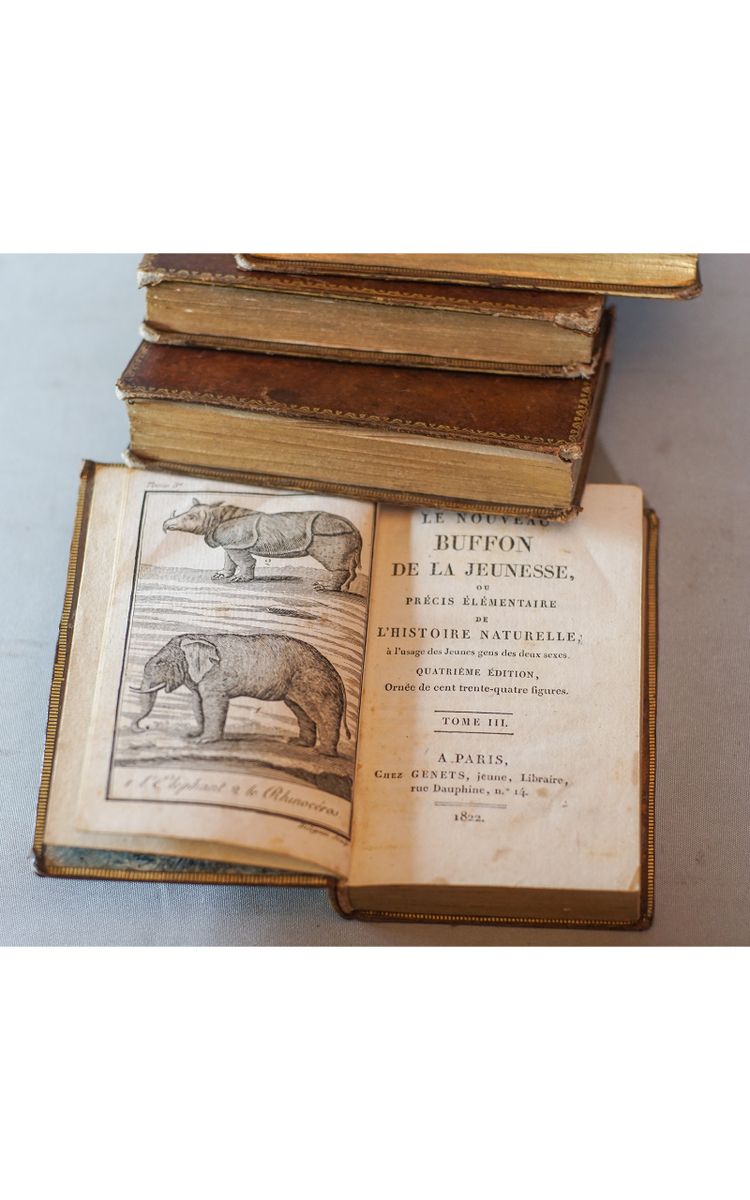 Le BUFFON de la jeunesse, Précis élémentaire d’ HISTOIRE NATURELLE 4 vol. 1822