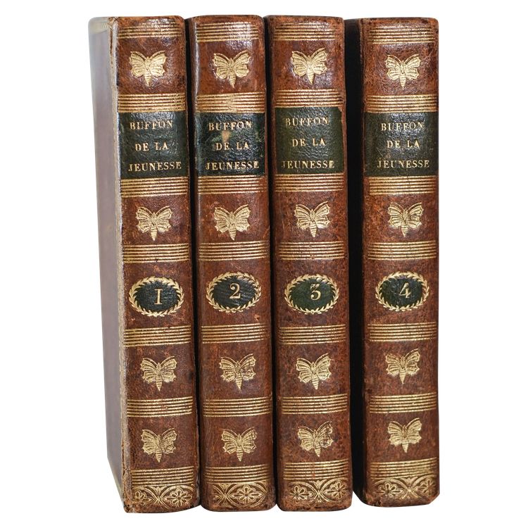 Le BUFFON de la jeunesse, Précis élémentaire d’ HISTOIRE NATURELLE 4 vol. 1822