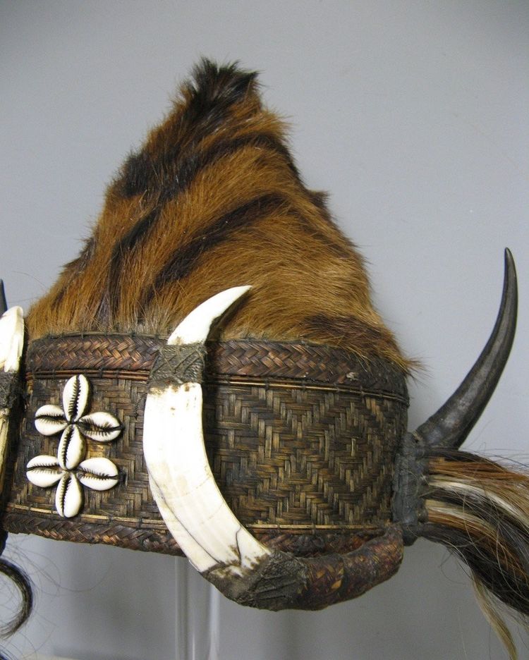 Naga Headcutter's ritual headdress. India/Burma.
