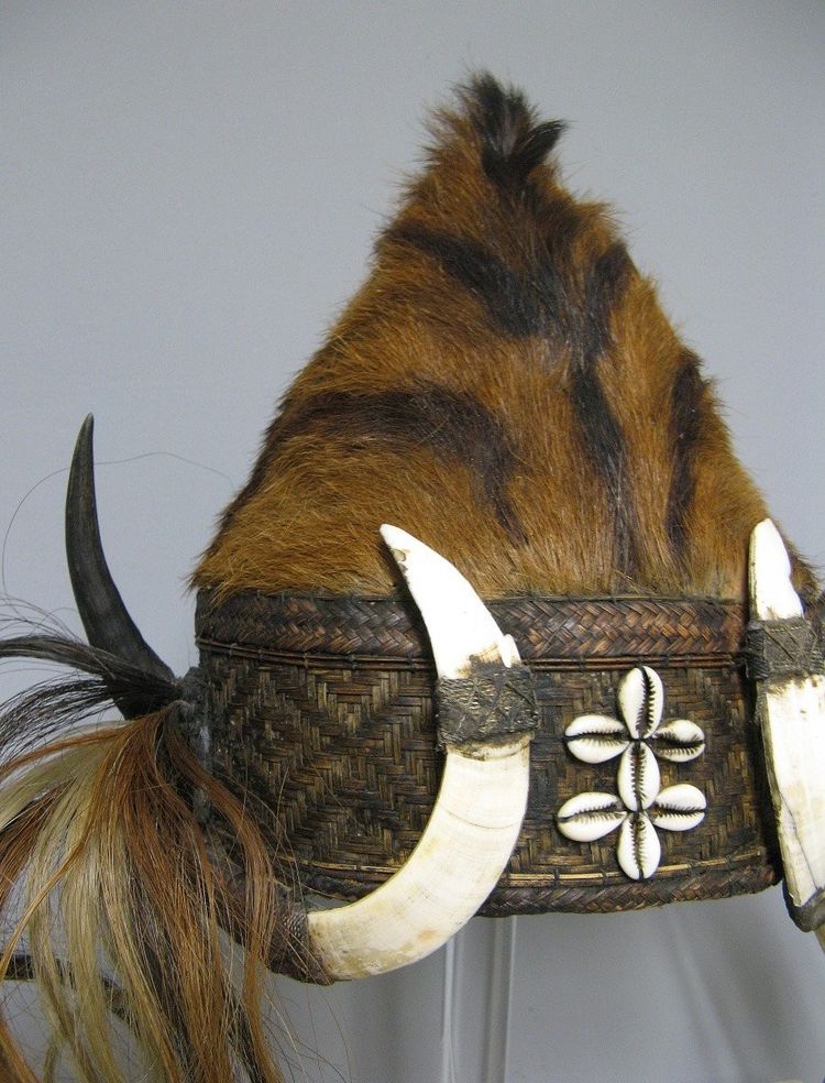 Naga Headcutter's ritual headdress. India/Burma.