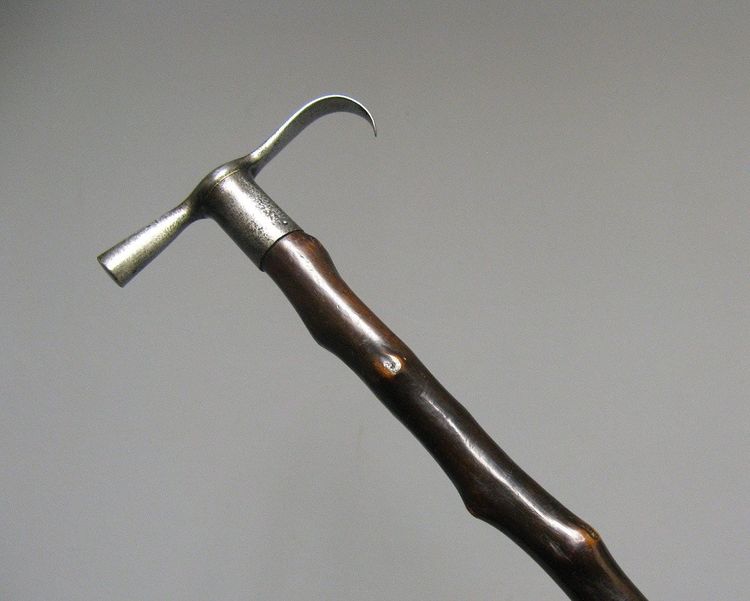 Canne Dard, Canne à Système XIXe. 