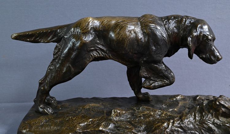 Bronze "Chien de Chasse" signed E. Samson - Late 19th century