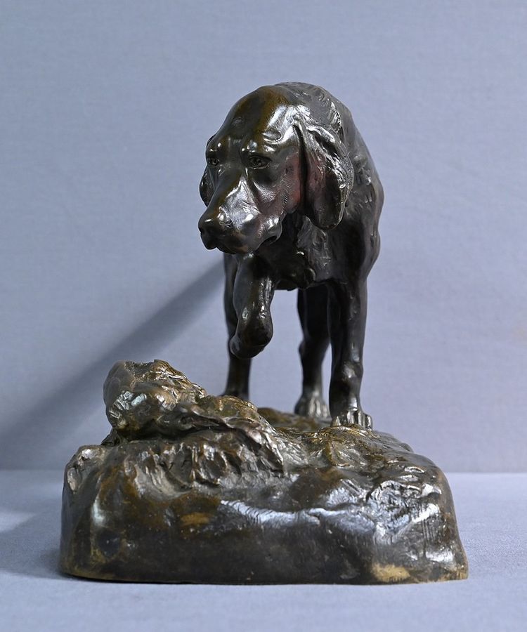 Bronze "Chien de Chasse" signed E. Samson - Late 19th century