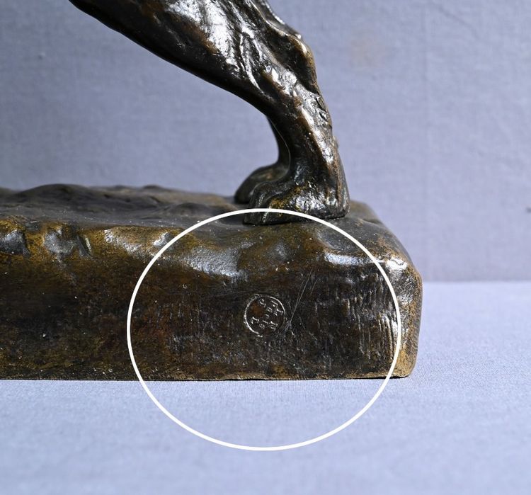 Bronze "Chien de Chasse" signed E. Samson - Late 19th century