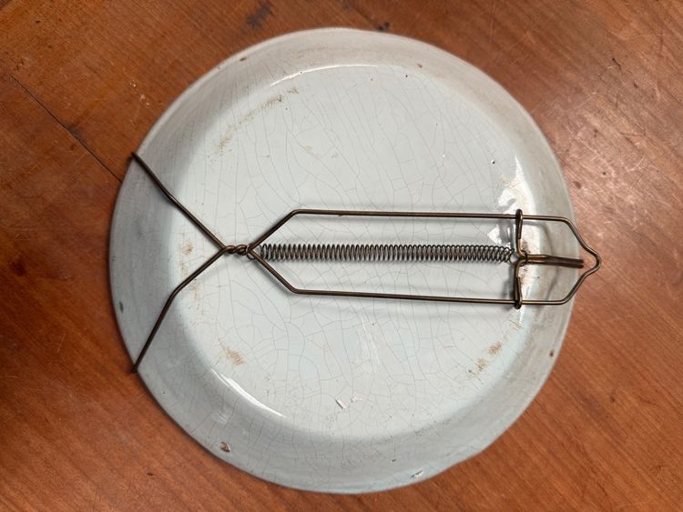 Plate