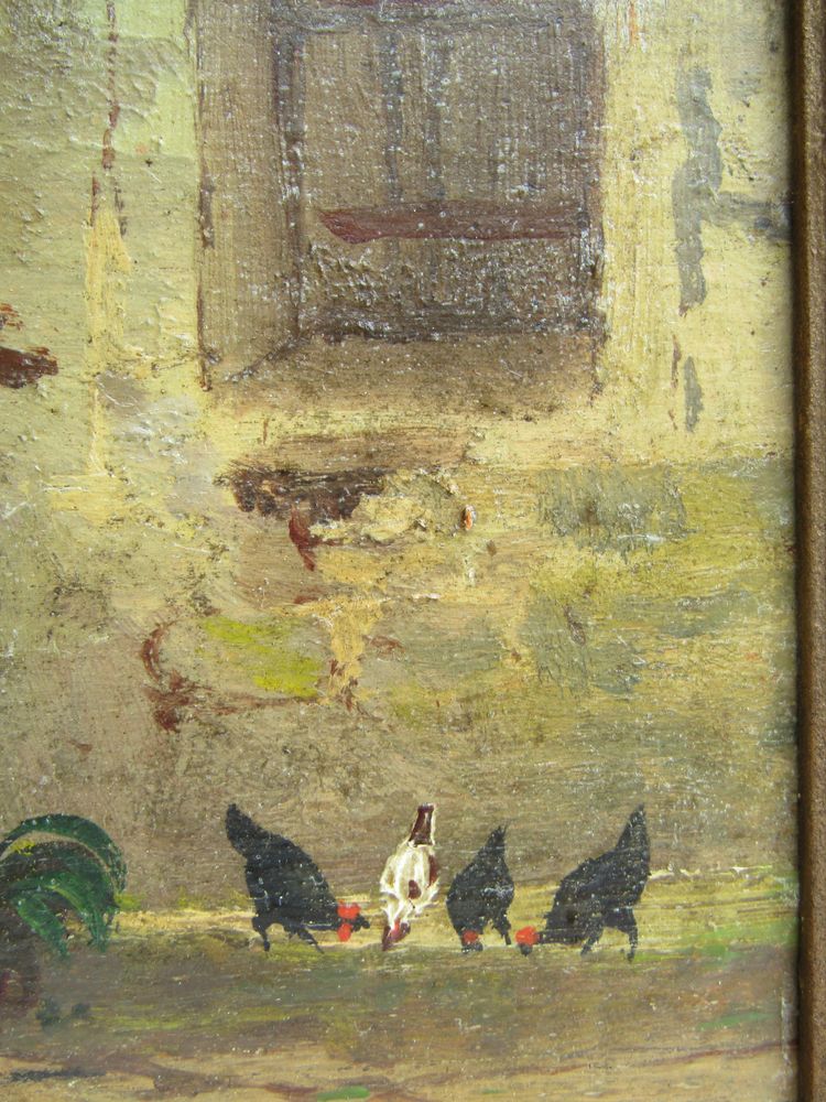Galline da tavola